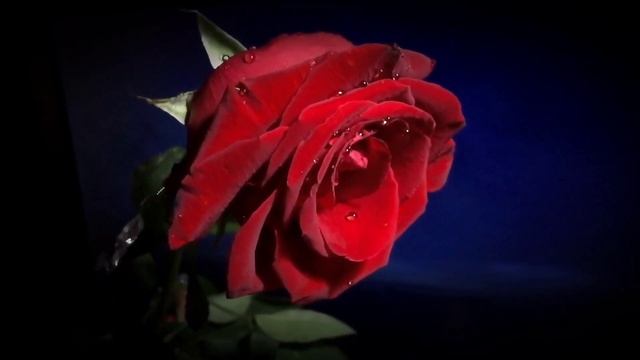 Вальс Дождя. Музыка Теодор Ковальский смотреть онлайн