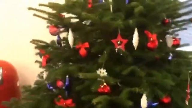 Датская елка (пихта Нордмана) 175-200 см смотреть онлайн