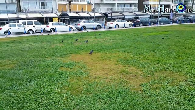 На те же грабли... больше не пойдем! Пасмурная прогулка. Измир Турция смотреть онлайн