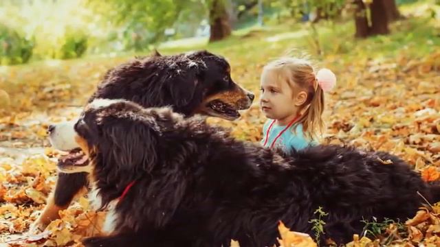 Ателье улыбок,осень 2015 смотреть онлайн