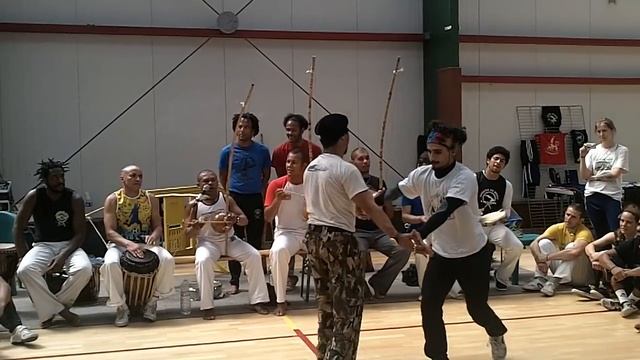 Mestre Camaleao e Prof Tico смотреть онлайн