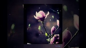 Teach in - I m Alone