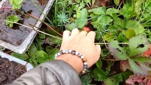 ?♂️Где взять песок на участке?♂️ и что потом делать с ямой??♂️