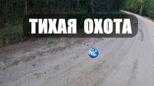 ТИХАЯ ОХОТА! Собираем Белые грибы. Дождь нас постоянно гонит с леса.