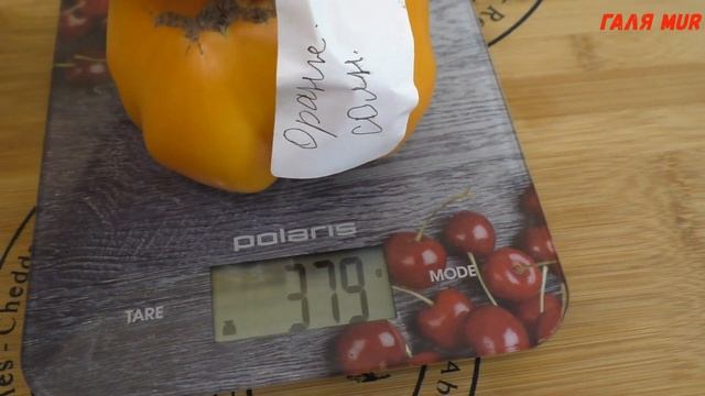Чудо томат ОРАНЖЕВОЕ СОЛНЦЕ смотреть онлайн