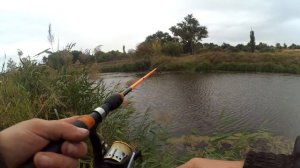 Окунь отозвался на ларву.