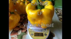 Обзор семян перцев/самые урожайные /толстостенные/.