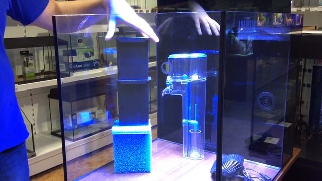 Морской аквариум Aqua Medic Cubicus смотреть онлайн