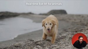Sony a7 IV | Презентация Sony 21.10.2021 на русском языке.