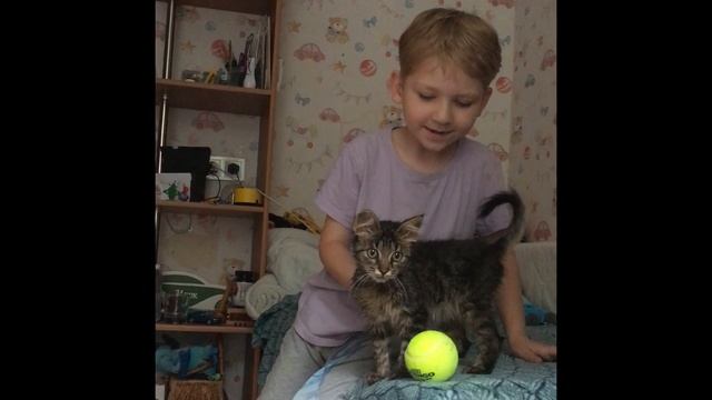 Котик