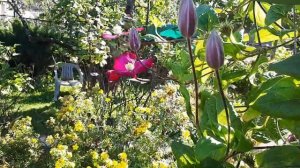 В гостях у Зои!