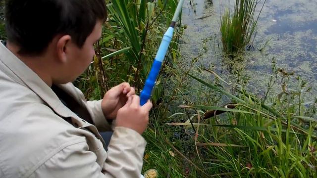 Ловля ротана смотреть онлайн