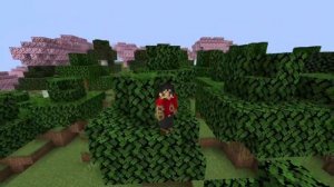 Cómo crear un Servidor de Minecraft para Jugar con Amigos (Todas las versiones)