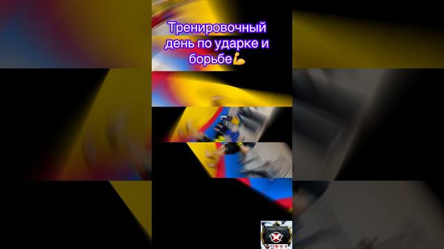 Тренировочный день по ударке и борьбе💪