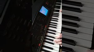 Yamaha PSR 8000 полька