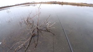 Ловля ротана ЖИВЦА . Оснащение поплавочной удочки для разных задач .