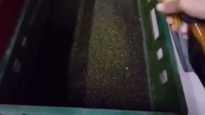 Дендробена зелёная. Как получить...