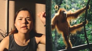 ПОЧЕМУ СОВРЕМЕННЫЕ ОБЕЗЬЯНЫ НЕ ПРЕВРАЩАЮТСЯ В ЛЮДЕЙ|Эволюция человека