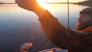 Охота на судака. Озеро Пено