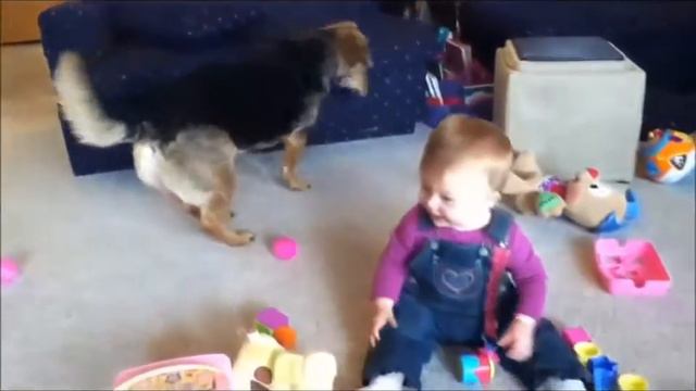 малыш заразительно смеется, пока собака лопает пузыри смотреть онлайн