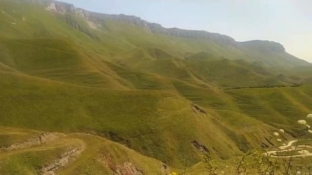 Ваш кавказ