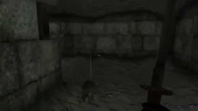 Let's play Oblivion 2: Rats to the rescue