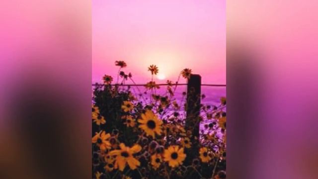 Мечта за тобою) Смотри видео если мечтаешь о чем то смотреть онлайн