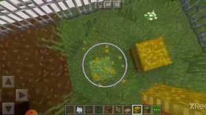 Зоопарк в майнкрафт #5 (Zoo in Minecraft)