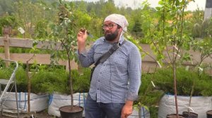 Слепой Садовник в Репейнике.