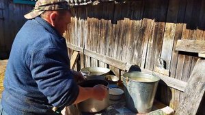 Кормление телят , каша для быстрого роста телят