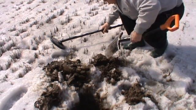 КЛАДОИСКАТЕЛИ ОТКРЫТИЕ СЕЗОНА 2011 ГОДА TREASURE HUNTERS OPEN SEASON 2011 смотреть онлайн