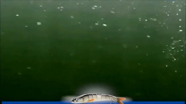 К рыбалке готов. Рыболовные снасти на АлиЭкспресс. #рыбалка #АлиЭкспресс