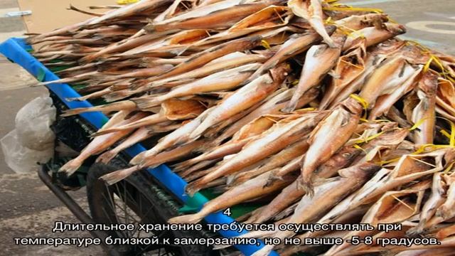 Как хранить сушеную рыбу