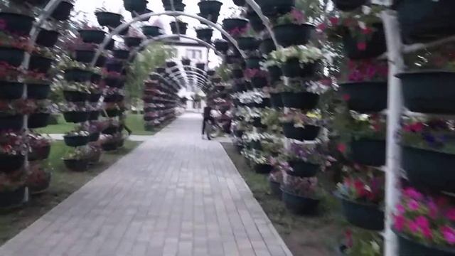 Грозный сити,цветочный парк