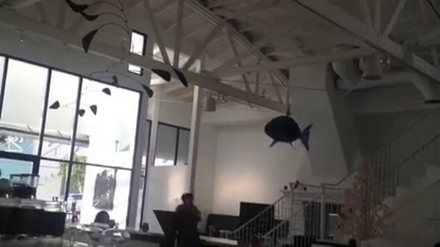 shark blimp 2 смотреть онлайн