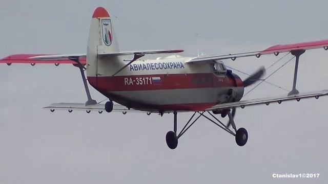 Купил права на управление самолётом Ан 2 смотреть онлайн