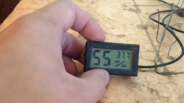 Обзор самодельного инкубатора. И режимы инкубации мускусов и мулардов.