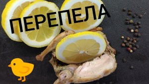 🐤 Перепела 🐤 в духовке на вертеле. Сочные.