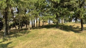 Природа. Единцы. Молдова.