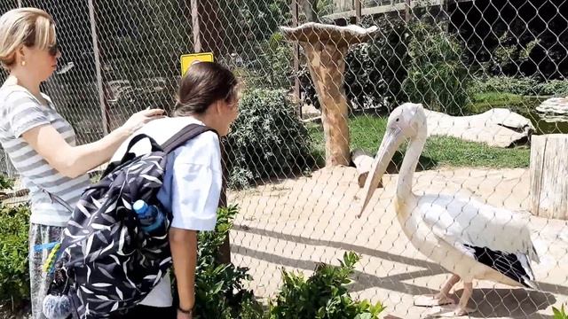 Azərbaycan, Bakı/2022/ Zooloji park/ Azerbaijan, Baku/ Zoo/ Азербайджан, Баку/ Зоопарк