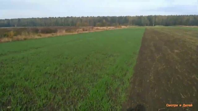 Всходы горчицы и тритикалия/бороновали мотоблокам. смотреть онлайн