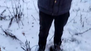 Хотошо | Бурят-монгольский волкодав - Немного о породе хотошо