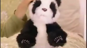 Интерактивные животные Alive WowWee -  malun.ru