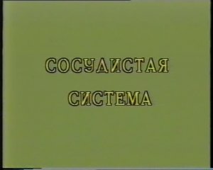 СОСУДИСТАЯ СИСТЕМА