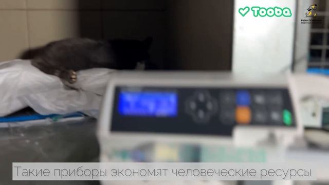 Фонду требуется помощь в закупке шприцевых дозаторов! смотреть онлайн