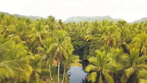 10 минут полета