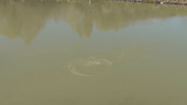 Приколы на рыбалке в Анапе, 2 Мая, Спортивная рыбалка в "Хижине рыбака" п.Сукко