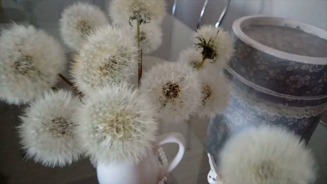 СУШИМ ОДУВАНЧИКИ?ДЛЯ ЗИМНИХ БУКЕТИКОВ?КАК ВЫСУШИТЬ ОДУВАНЧИКИ ✨ОДУВАНЧИКИ КАК СУХОЦВЕТЫ?ОБЗОР СУШКИ смотреть онлайн