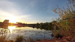 Рыбалка на поплавок в Великом Новгороде 2022.
