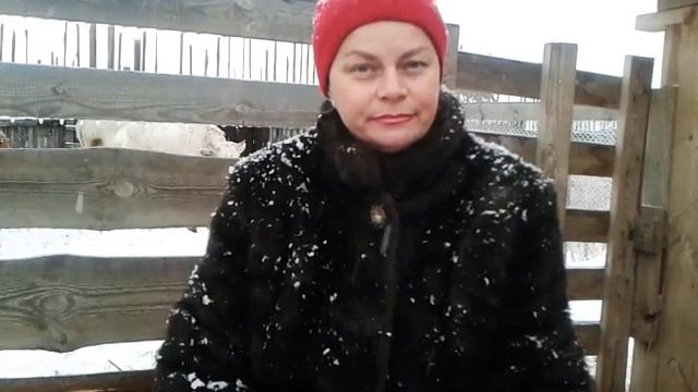 Как и когда глистогонить коз? смотреть онлайн